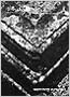 Issue  18. The archaeological photography